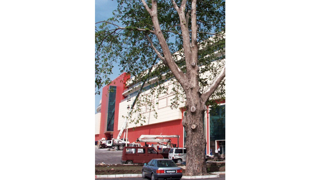 Weber България