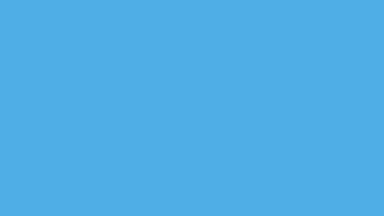 P919 Sky